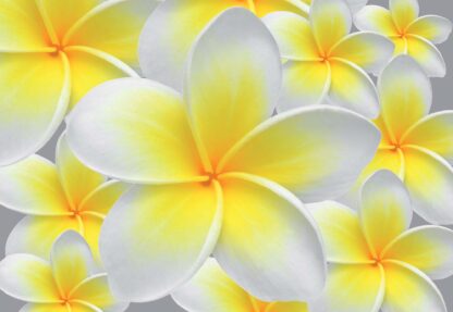 Floral Pattern(033WM) - Image 2