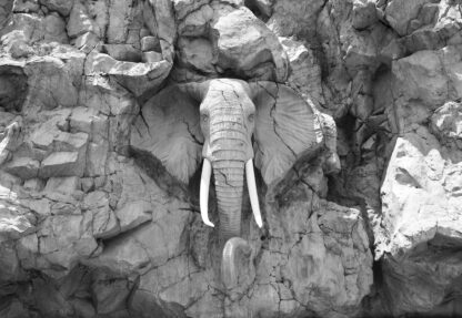 Stone Elephant Black And White(10116WM) - Image 2