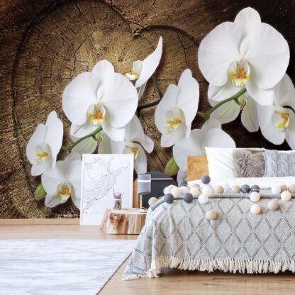 Flowers White Orchids Wood Background(1014WM)