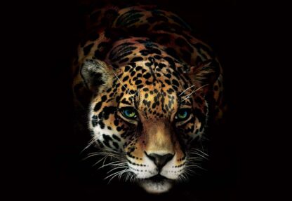 Jaguar(10148WM) - Image 2
