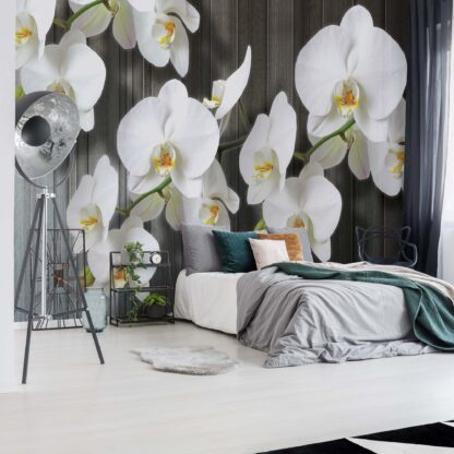 Flowers White Orchids(1015WM)