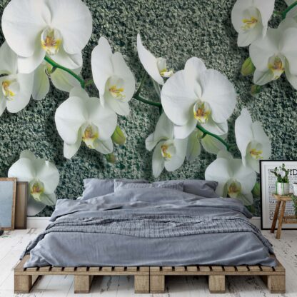 Flowers White Orchids(1016WM)