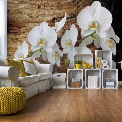 Flowers White Orchids Wood Background(1017WM)