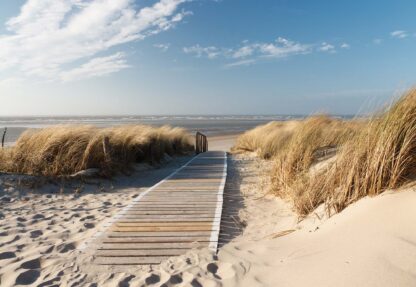 Beach Walkway Coastal Sand Dunes(1020WM) - Image 2