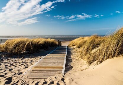 Beach Walkway Coastal Sand Dunes(1021WM) - Image 2