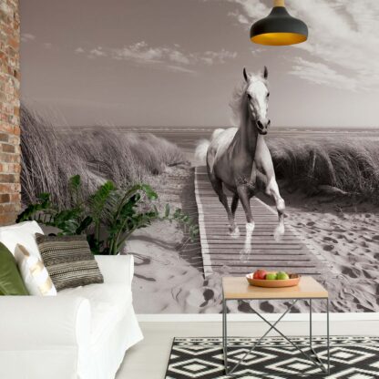 Horse Galloping On Beach Black And White(10229WM)