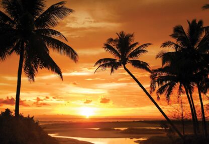 Tropical Sunset Silhouette(10237WM) - Image 2