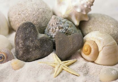 Sea Shells Beach(10240WM) - Image 2