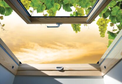 Vines Countryside Skylight Window View(10395WM) - Image 2