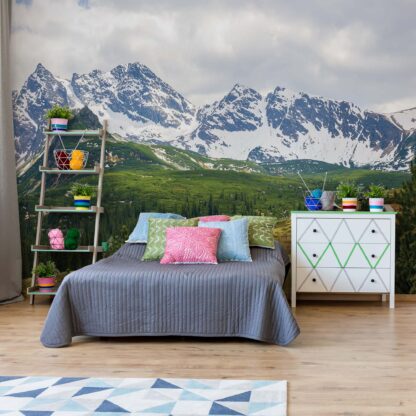 Mountains Alps(10507WM)
