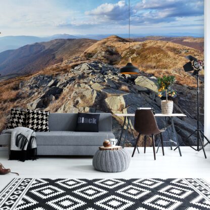 Mountain View(10510WM)