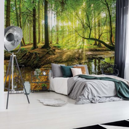 Forest Lake(10513WM)