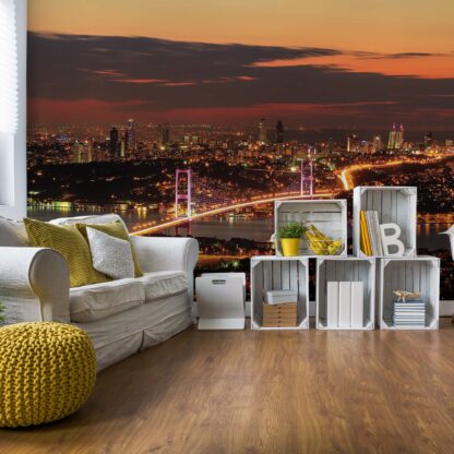 City Skyline Istanbul Bosphorus(1066WM)