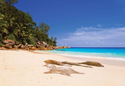 Sunny Island Beach(10878WM) - Image 2