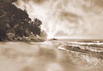 Sepia Tropical Beach(10964WM) - Image 2