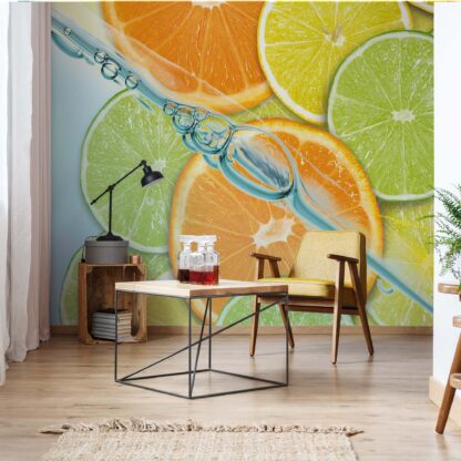 Food Fruits Lime Orange Lemon(110WM)