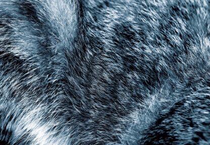 Wolf Fur Texture Blue(11074WM) - Image 2