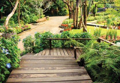 Tropical Path(11358WM) - Image 2