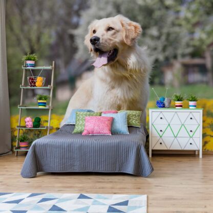 Golden Retriever Dog(11376WM)