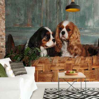 Spaniel Dogs(11379WM)