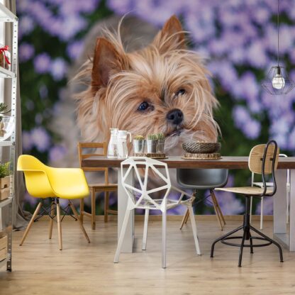 Dog(11381WM)