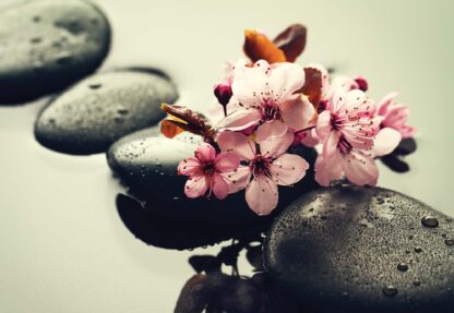 Spa Flowers And Pebbles(11408WM) - Image 2