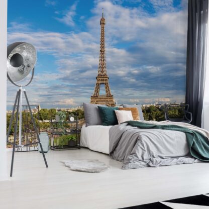 Paris Eiffel Tower(11422WM)