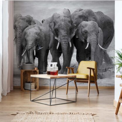 Elephants Black And White Animals(11578WM)