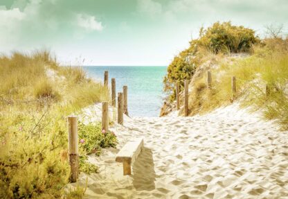 Pastel Colours Beach Sand Dune Path(11594WM) - Image 2
