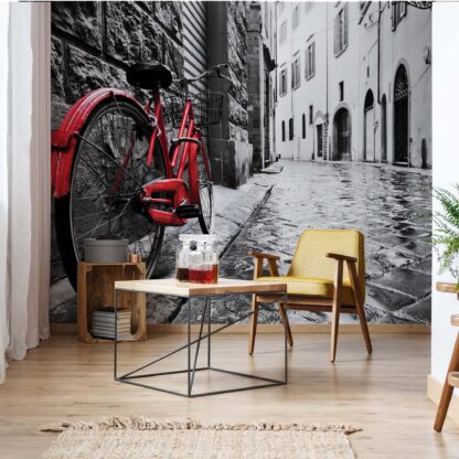 Black And White Red Bicycle Old Street(11675WM)