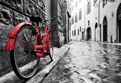 Black And White Red Bicycle Old Street(11675WM) - Image 2
