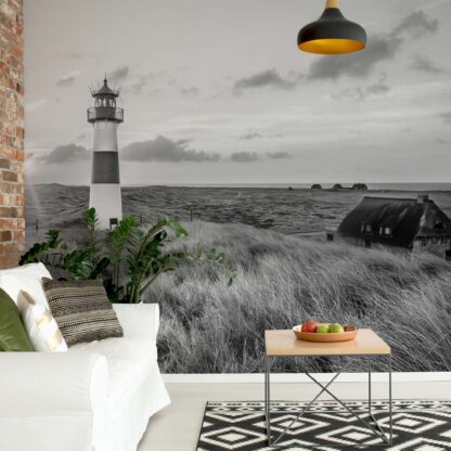 Black And White Coastal Dunes Lighthouse(11677WM)