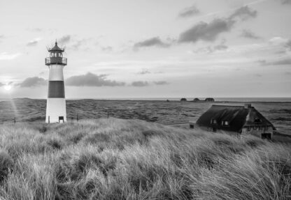 Black And White Coastal Dunes Lighthouse(11677WM) - Image 2