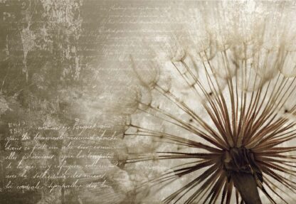Sepia Dandelion Vintage Script(11683WM) - Image 2