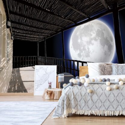 Moon Night Sky Terrace View(11702WM)