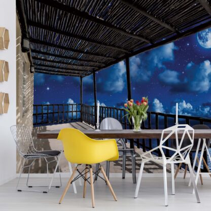 Dreamy Night Sky Terrace View(11703WM)