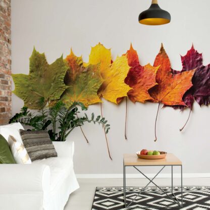 Autumn Leaves(11719WM)