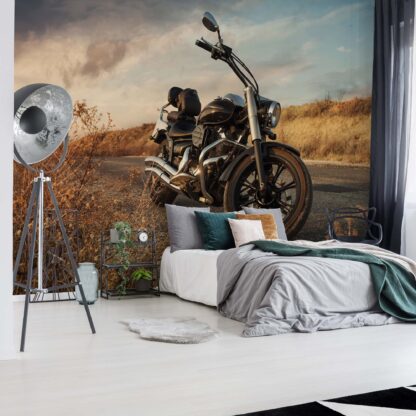 Motorcycle(11727WM)