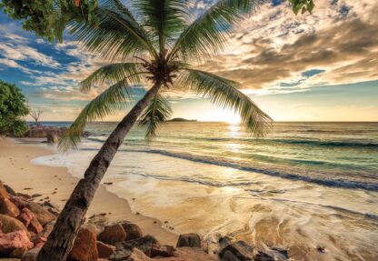 Tropical Beach Sunset(11732WM) - Image 2