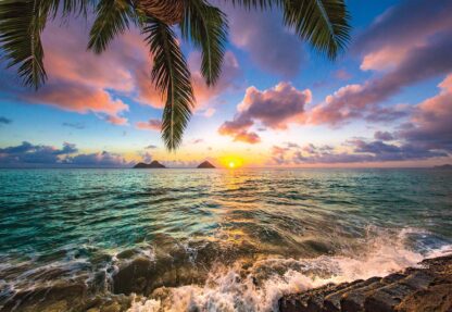 Tropical Sea At Sunset(11748WM) - Image 2