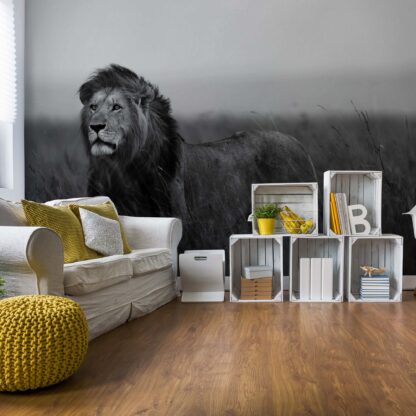 Black And White Lion(11760WM)