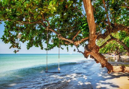 Tropical Island Beach Swing(11850WM) - Image 2