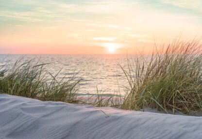 Coastal Sand Dunes Beach Sunset(11851WM) - Image 2