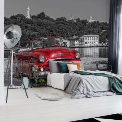 Havanna Cuba Red Vintage Car(11859WM)