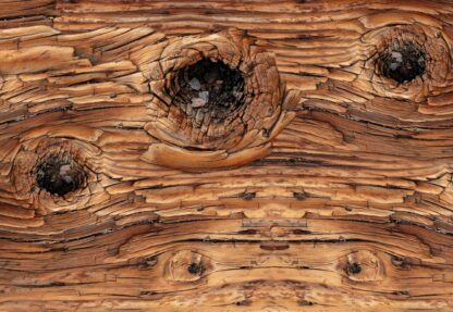 Wood Texture(12065WM) - Image 2