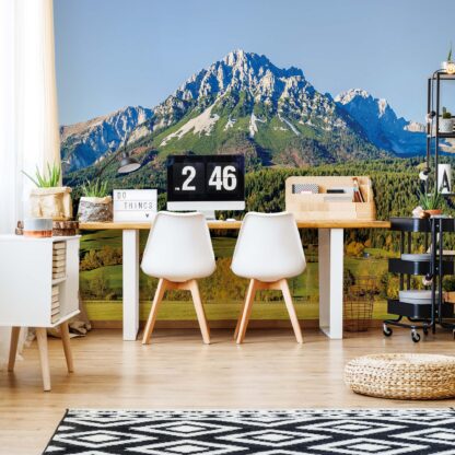 Mountains(12109WM)