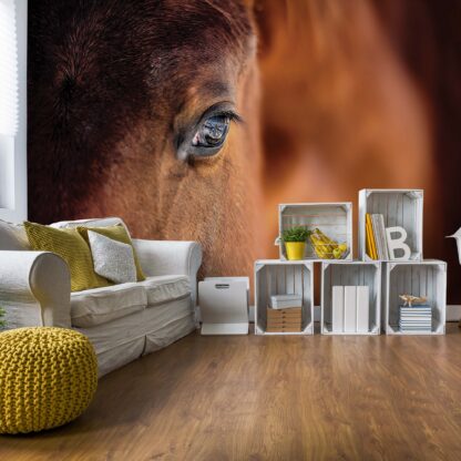 Beautiful Horse(1216WM)