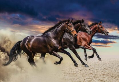 Galloping Horses(1217WM) - Image 2