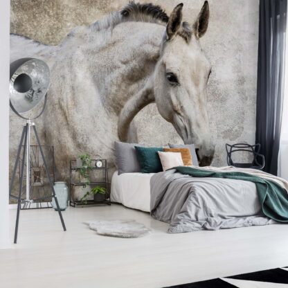 Beautiful White Horse(1218WM)