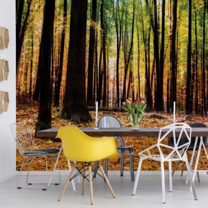 Orange Autumn Forest(1220WM)